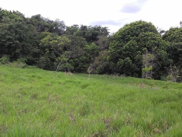 pra