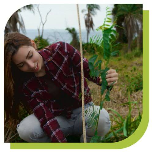 Oferecemos assessoria ambiental contínua, atuando lado a lado com sua equipe para resolver, orientar e antecipar problemas ambientais